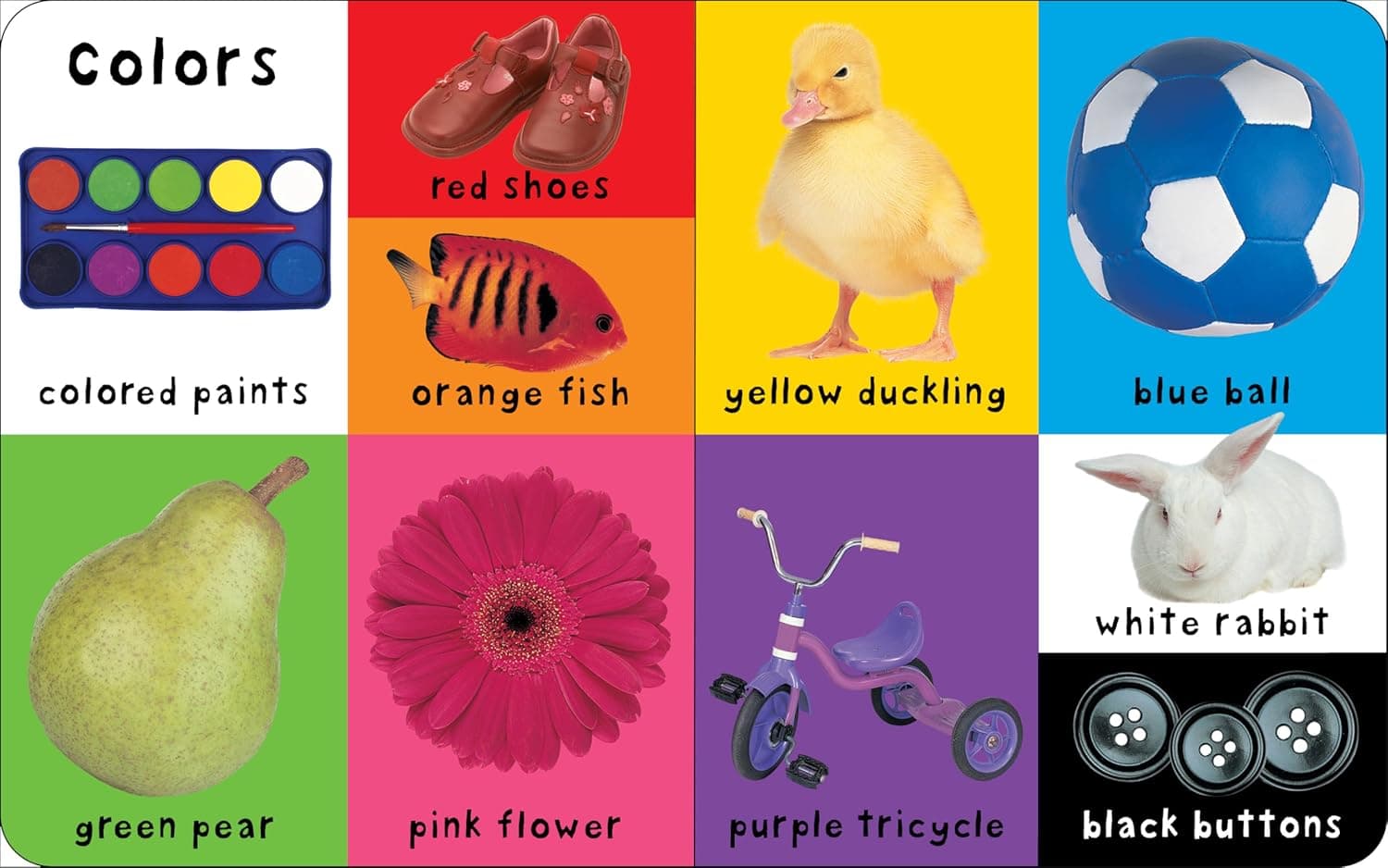 First 100 Words view 3